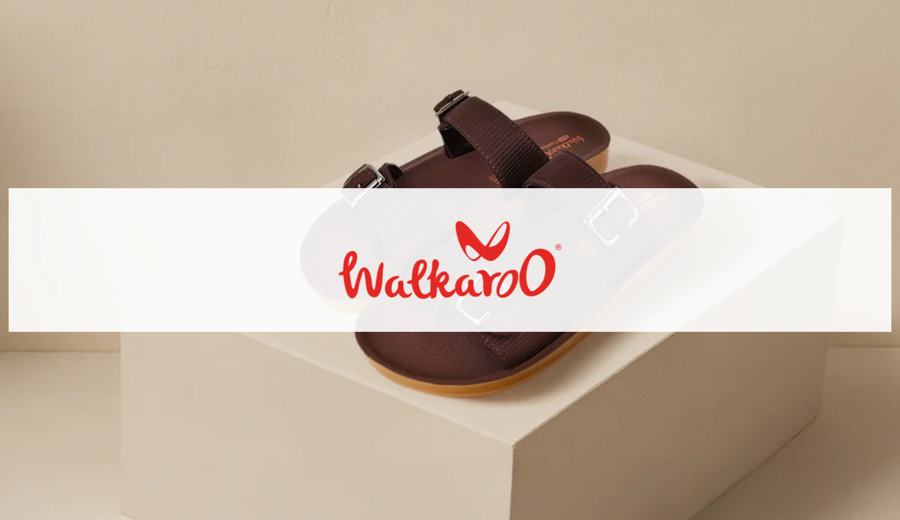 Influencer Loyalty Program Case Study