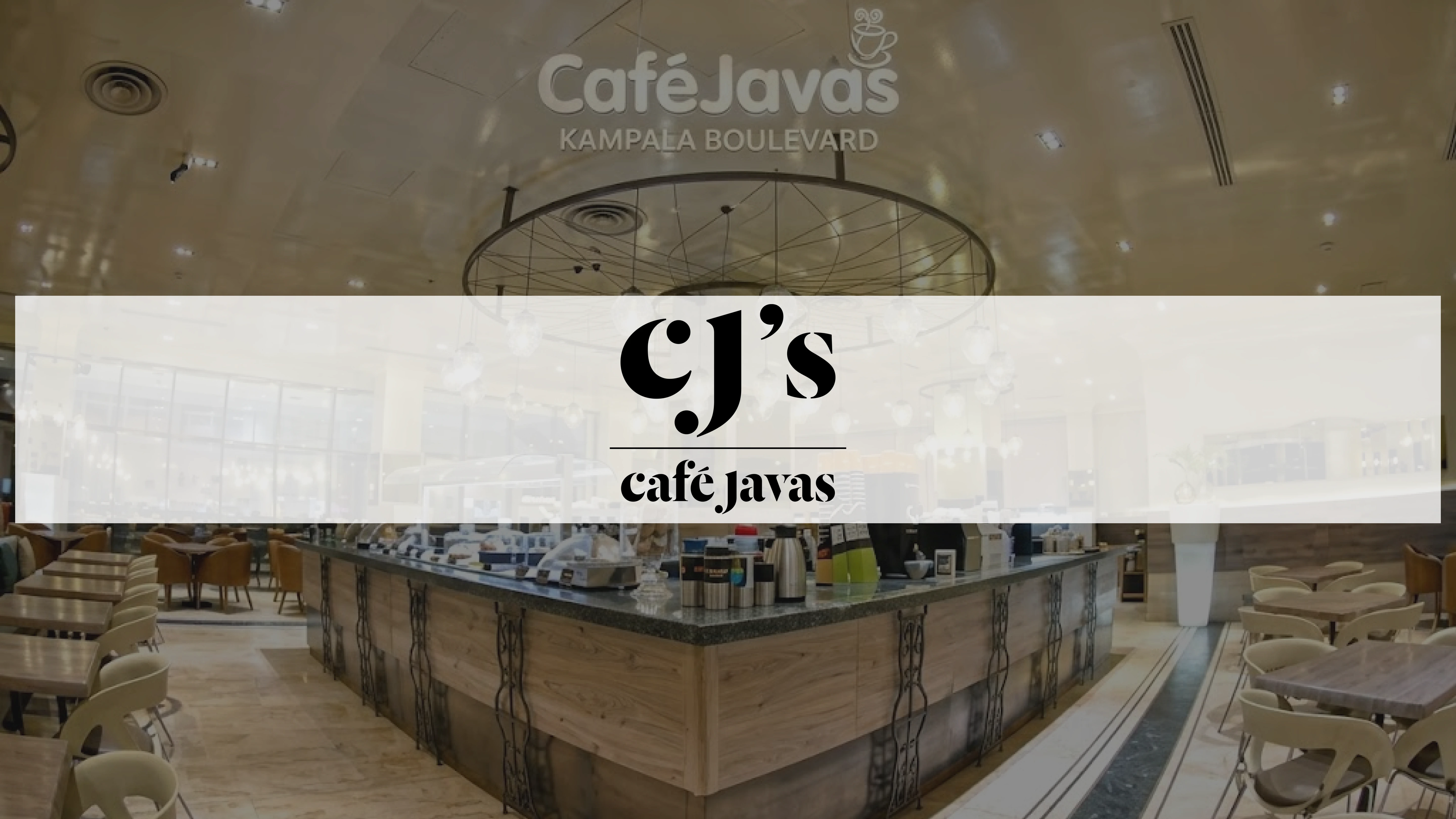 detailer-loyalty-program-casestudy