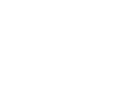 Turtle Wax logo