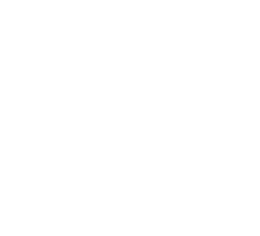 Turtle Wax Logo