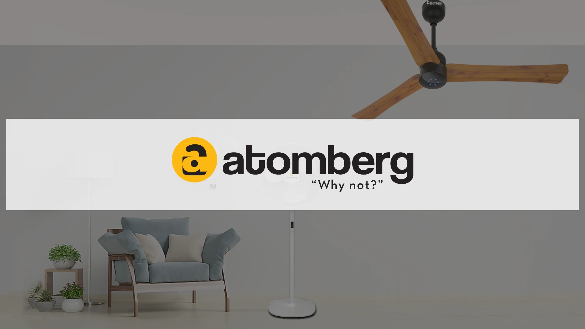 Influencer Loyalty Program Case Study