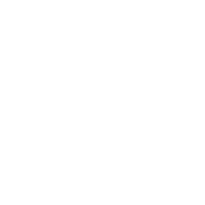 Damro India logo