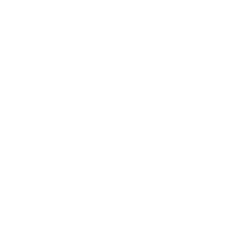 Essilor logo