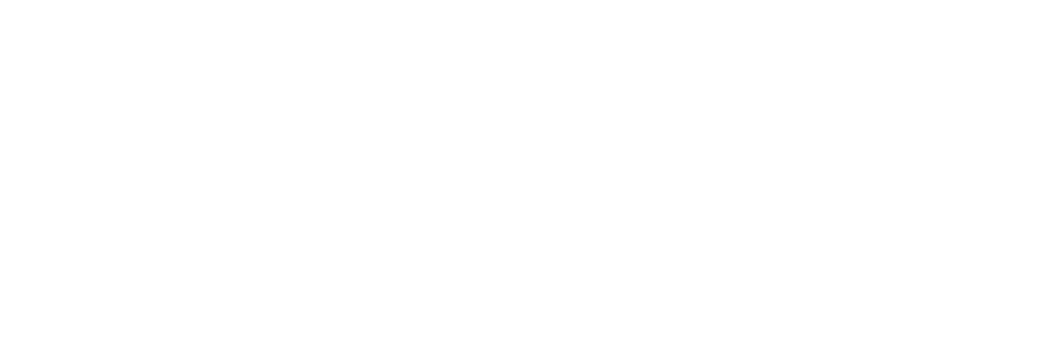 Fern Group of Hotels logo