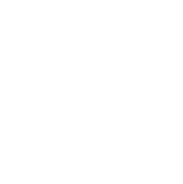 Loyltworks L1 Framework logo