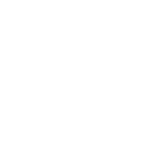 Carl Zeiss India logo