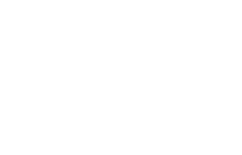 Portronics
