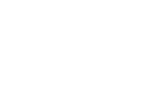 Flipkart