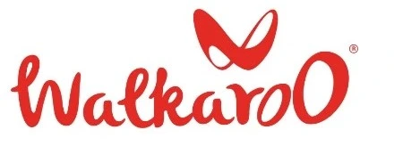 Dealer loyalty program case study