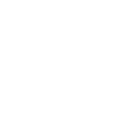 YouTube Logo